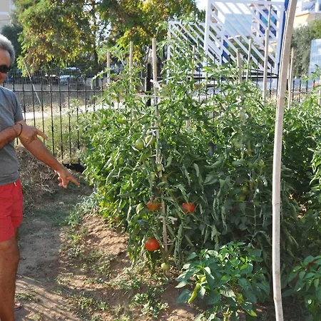Crystal Blue Appartement