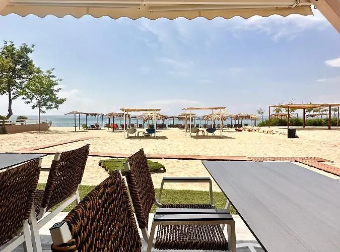 Crystal Blue * Potos