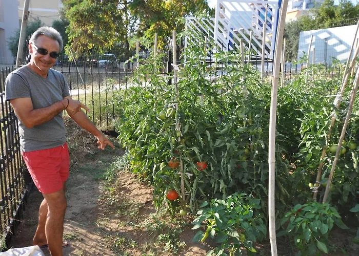 Crystal Blue Apartment